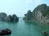 The Paradise bay